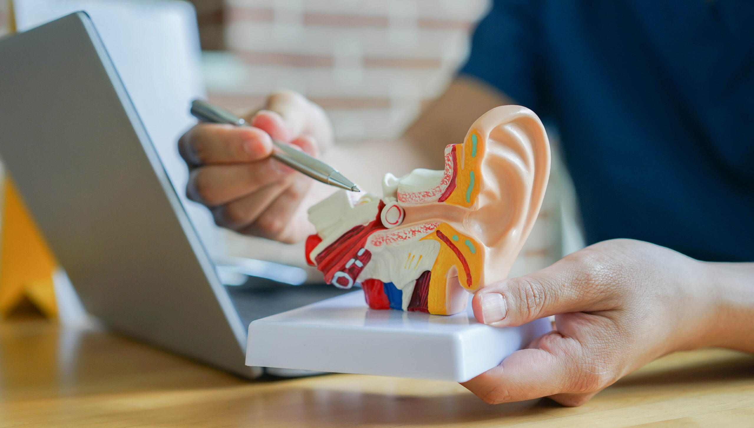 Training Materials & Links – TJ Audiology Training